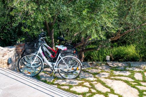 a couple of bikes parked next to a tree at Villa Marceline in Prvić Luka