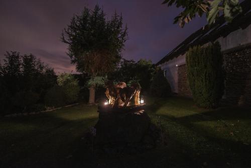 a couple of dogs standing in a yard at night at Apartmány Braníčkov in Branickov