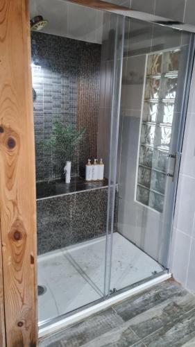 a shower with a glass door in a bathroom at Casita Sarabia in Ponteareas