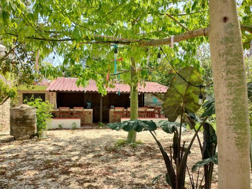 a view of a house from under a tree at Hotel y Museo Aldea Maya Toktli Orígenes - Casa Maya Toh - Alberca, Wifi Starlink, Tour Museo in Izamal
