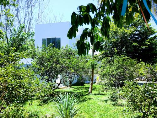 a building in the middle of a field of trees at Hotel y Museo Aldea Maya Toktli Orígenes - Casa Maya Toh - Alberca, Wifi Starlink, Tour Museo in Izamal