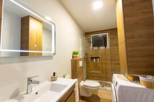 a bathroom with a sink and a toilet and a shower at Apartman Rita in Bjelovar