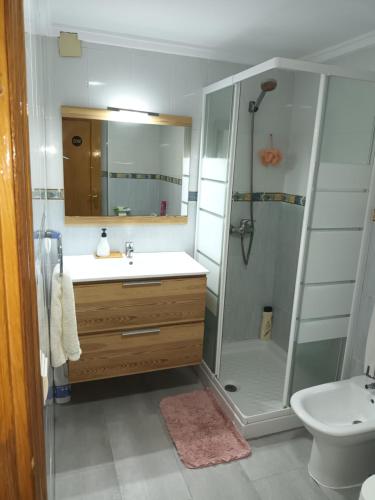 een badkamer met een douche, een wastafel en een toilet bij Habitación D&D Habitación en piso particular in Valencia