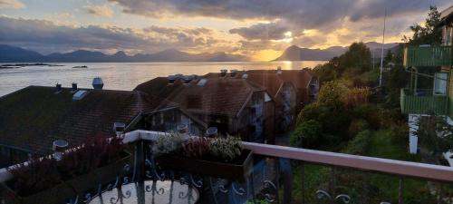 a group of houses with a view of the water at Fjord Panorama Homestay in Molde