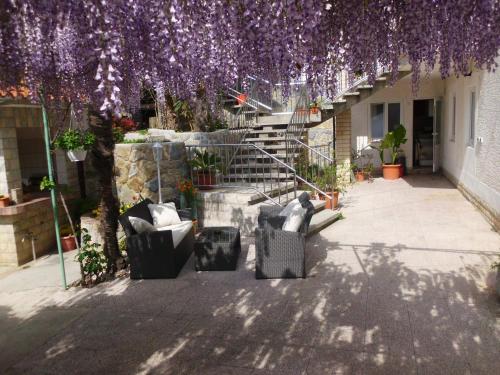 a bunch of purple flowers hanging from a tree at Rooms Vukušić in Rab