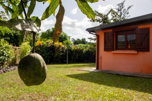 a large avocado hanging from a tree next to a house at La Villa Holiday, 10 personnes, piscine patio bar terrasse in Sainte-Rose