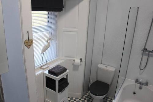 斯特靈的住宿－Cameronian Apartment，白色的浴室,设有厕所,窗户上有鸟儿