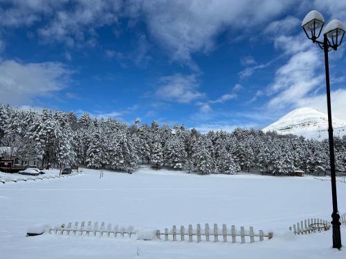a snow covered field with a light pole and trees at Vila Pepaj Razem in Razëm