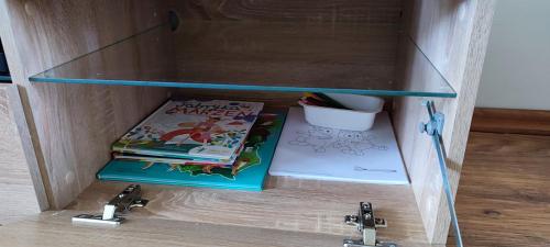 a glass cabinet with two books and a sink at Zofii Las in Biała Podlaska