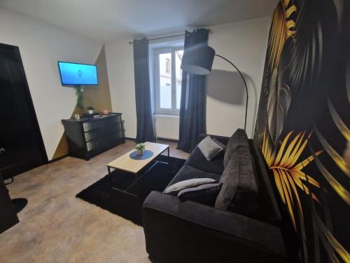 a living room with a couch and a tv at Suite GOLD Mulhouse in Mulhouse