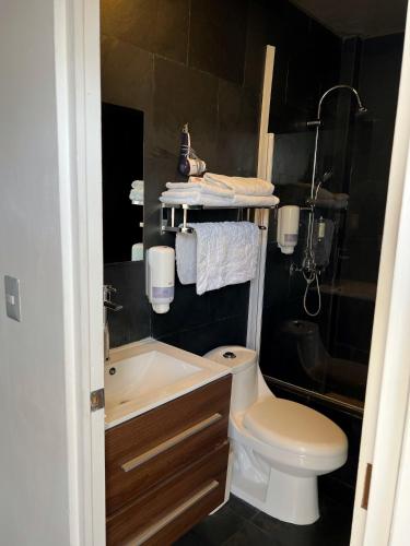 a small bathroom with a toilet and a sink at Hotel Puerto Chinchorro in Arica