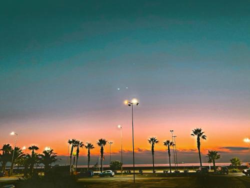 a parking lot with palm trees and a sunset at Hotel Puerto Chinchorro in Arica