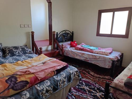 Ein Bett oder Betten in einem Zimmer der Unterkunft Auberge Toubkal Amsouzart Aitst Idar