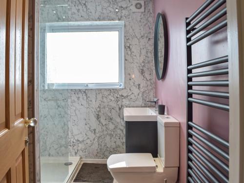 a bathroom with a sink and a toilet and a window at Maes Dyfed in St. Davids