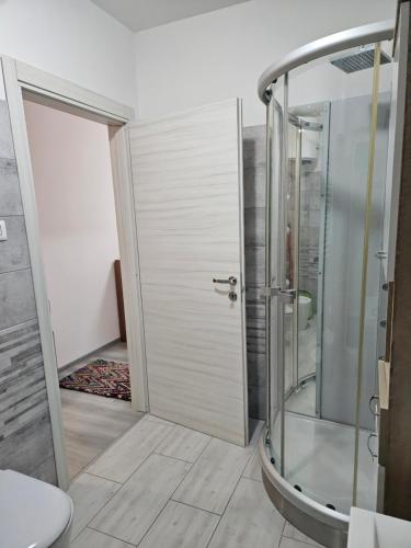 uma casa de banho com um chuveiro e uma porta de vidro em AL PALU' em Ziracco