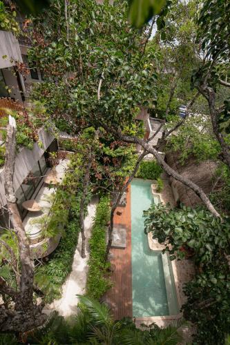 A piscina localizada em Zereno Tulum Beach Club Access ou nos arredores