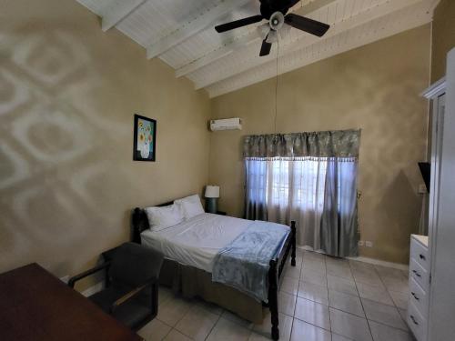 a bedroom with a bed and a ceiling fan at A&D Tennis Villa in Arnos Vale