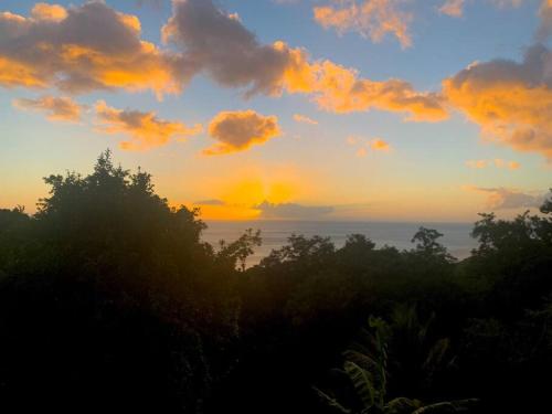 a sunset over the ocean with trees in the foreground at Villa coco in Bouillante