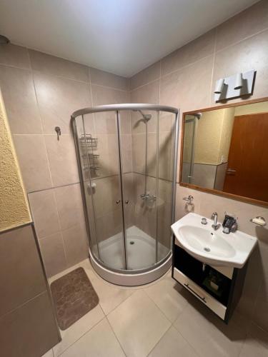 a bathroom with a shower and a sink at Luis Maria Depto1 in San Martín
