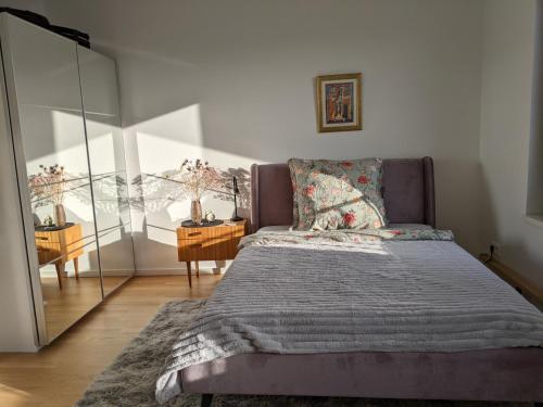 a bedroom with a bed and a mirror at EITHER Private 2B2B OR Shared 1B1B, Luxury, Bright, Spacious in Berlin