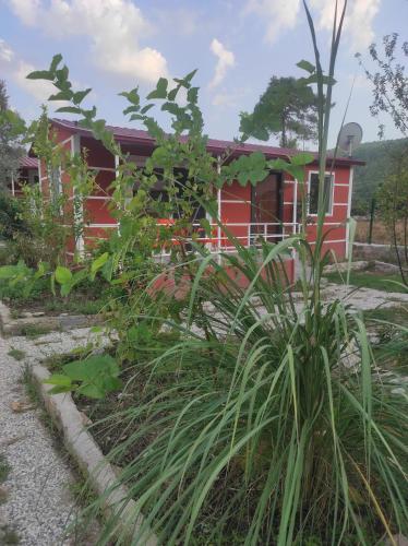 a red house with a plant in front of it at Kanyon Yaşam Evleri in Manavgat
