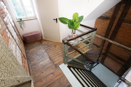 a stairwell with a plant in a room at DWELLSTAY - Zuse Höfe Bad Hersfeld in Bad Hersfeld
