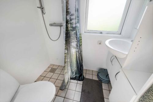 a bathroom with a shower and a toilet and a sink at Bogns Cabin in Holbæk