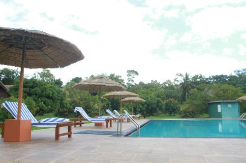 Piscina en o cerca de Sigiriya Peacock Homestay