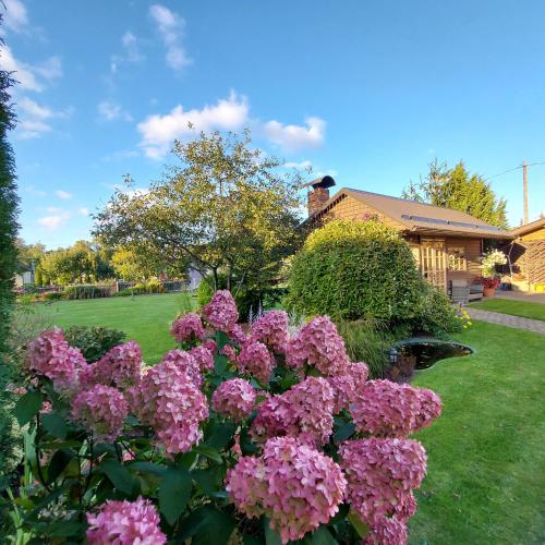 a bush of pink flowers in a yard at Apartamenti Dundaga XXL in Dundaga