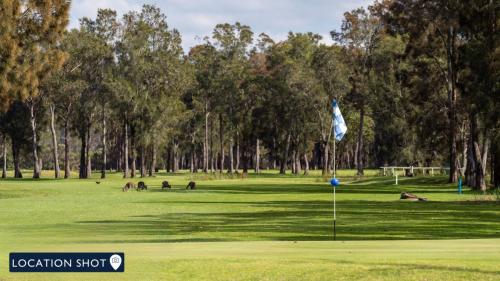 a golf course with a flag on a green at Bliss - seaside retreat in Callala Beach