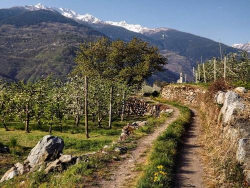a dirt road next to a stone wall with mountains at Affittacamere Al Vicolo in Ponte in Valtellina