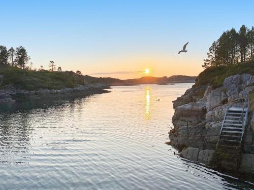 a bird flying over a river at sunset at 8 person holiday home in averøy-By Traum in Averoy