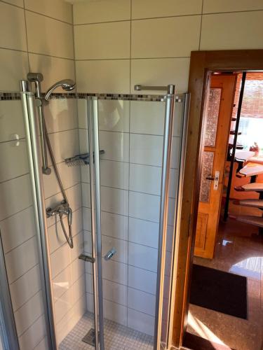 um chuveiro com uma porta de vidro na casa de banho em Ferienhaus Günther Harzgerode/Schielo em Schielo