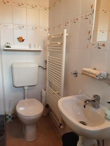 a bathroom with a toilet and a sink at Herberg Tisza in Tiszabábolna