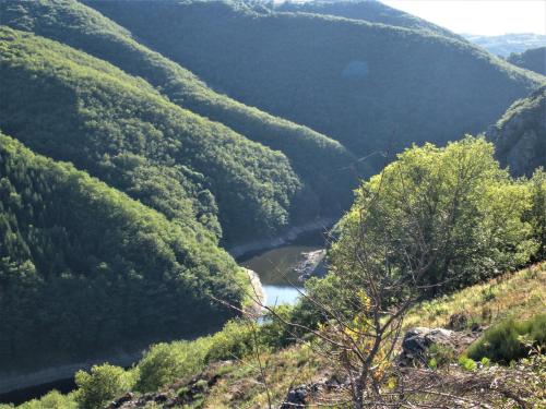 a view of a river in a valley with trees at chalet nature sur la vallée de la Truyère in Neuvéglise
