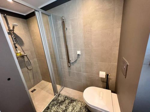 a bathroom with a shower and a toilet in it at Cosy apartment with a balcony by the sea. in Ķesterciems
