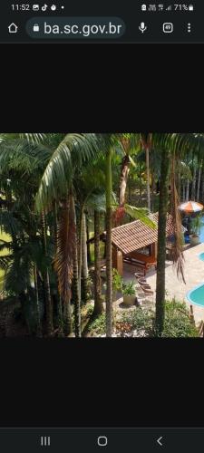 a view of a garden with palm trees and a bench at Suíte alvenaria casal. in Guabiruba