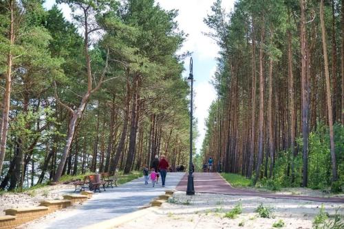 people walking down a path in a park with trees at Natura Mierzei 30 - pokoje przy plaży in Krynica Morska
