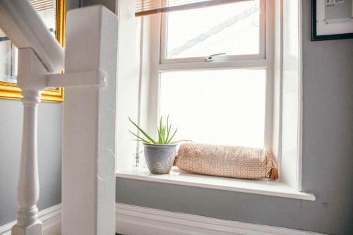 a window with a plant sitting on a window sill at Quirky 2-bed flat w/ parking central Kingsbridge in Kingsbridge