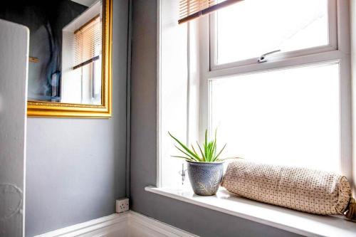a window with a plant sitting on a window sill at Quirky 2-bed flat w/ parking central Kingsbridge in Kingsbridge