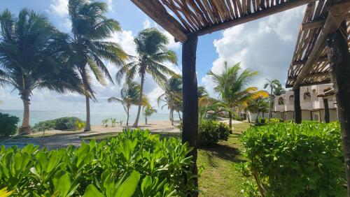 Zahrada ubytování VR CLUB Tulum Riviera