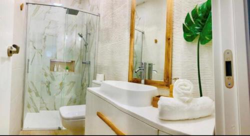 a bathroom with a sink and a shower and a toilet at Gosol Lemon, Centro-Parking in Sanlúcar de Barrameda