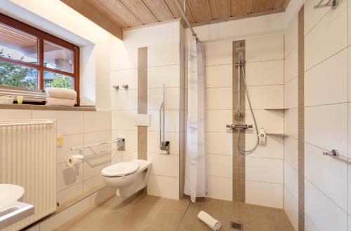 a bathroom with a toilet and a shower at Hotel Sauerländer Hof in Willingen