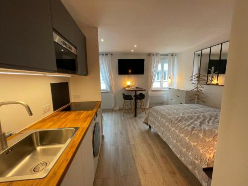 Foto Grand Studio - Le Kléber - Strasbourg Centre 1