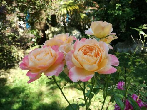 Photo de la galerie de l'établissement Gîte du Gallais- le Perrier-, au Perrier