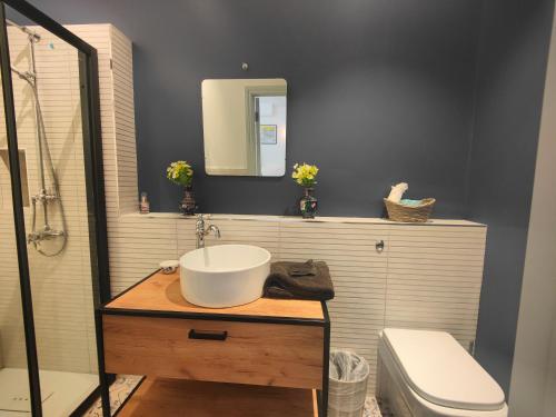 a bathroom with a sink and a toilet and a mirror at Peaceful Getaway in Forested Park in Bournemouth