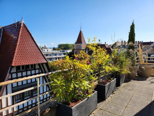 una fila de plantas parceladas en un balcón en L'Orangerie en Estrasburgo