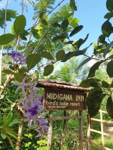 Κήπος έξω από το Midigama Inn