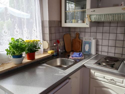 Η κουζίνα ή μικρή κουζίνα στο Apartment Am Pälitzsee-2 by Interhome