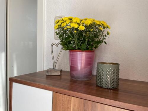 ミローにあるApartment Old Hüsung - MUZ328 by Interhomeの木製の棚の上に黄色い花が入ったピンクの花瓶